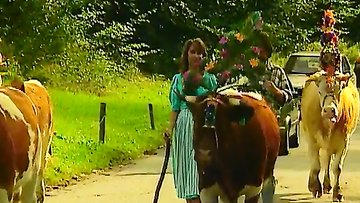 Musical chairs turns into extreme group banging