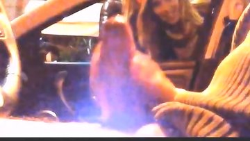 Car Flash Whores Compilation