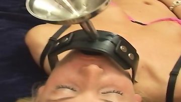 Desirable chick loves blowing cocks