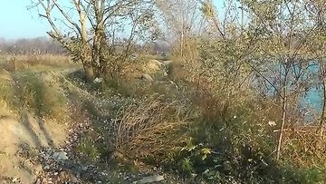 Blonde party babe wants outside banging. screwing