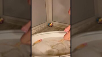 Big boobs Sophie Dee dildo bang herself