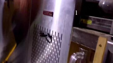 MaskXXX. - Buff stud's nude masturbation sessio